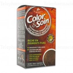 LES 3 CH&Ecirc;NES Color & soin n&deg;11R rouge myrtille
